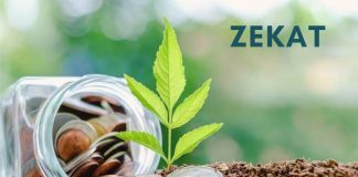 Cilave grupe të njerëzve iu jepet zekati?