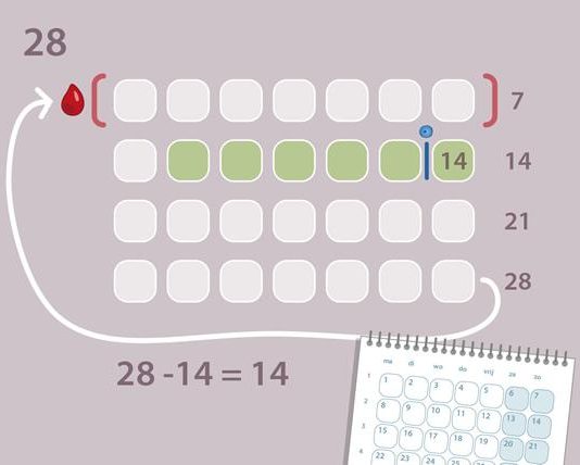 A i lejohet femrës agjërimi nëse është me të përmuajshmet?