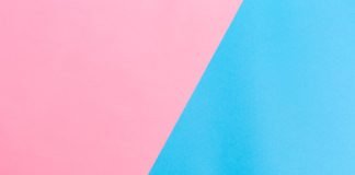 Barazia e femrës dhe mashkullit në punë