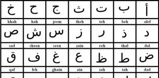 A ka ditur Muhamedi ﷺ shkrim-lexim?