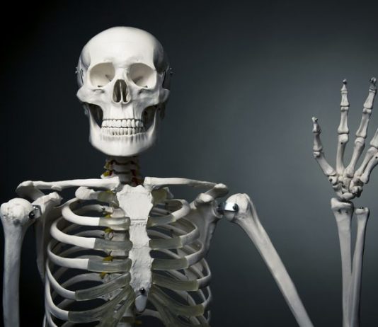 Eshtrat dhe lëkurat e kafshëve: a lejohen për të prodhuar xhelatinë?