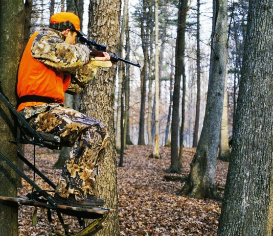 A është gjuetia e lejuar në Islam?