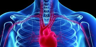 A lejohet përdorimi i valvulave të zemrës së derrit për transplant tek njeriu?