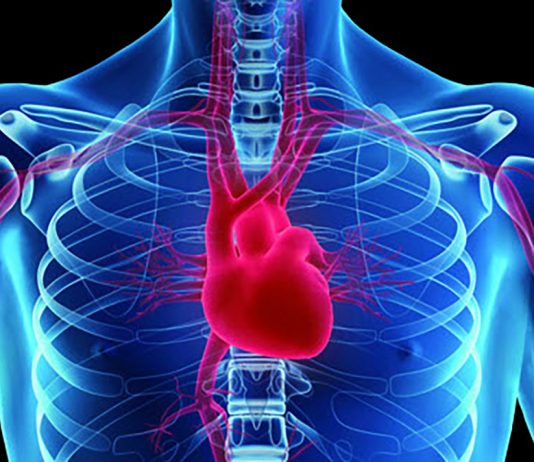 A lejohet përdorimi i valvulave të zemrës së derrit për transplant tek njeriu?