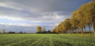 A duhet të paguhet zekati për tokë?