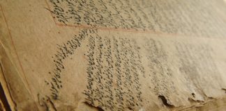 A bën me shkru te hoxha apo jo?