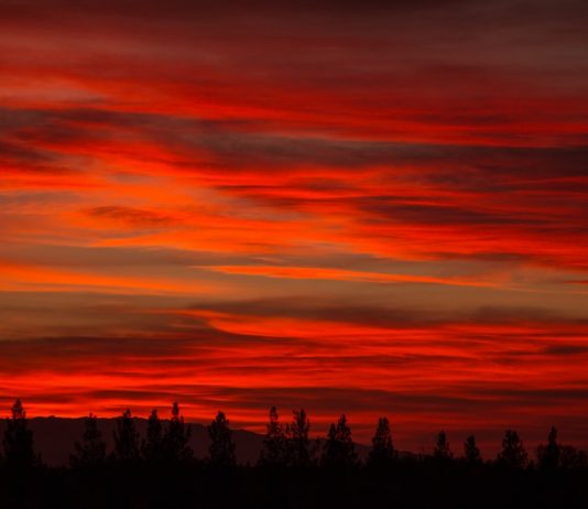 A ka pikuar qielli gjak kur është vrarë nipi i Muhamedit ﷺ, Husejni?