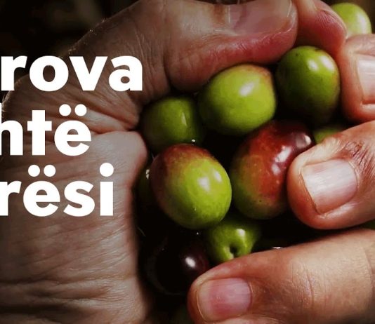 Cilat janë sprovat më të vështira që i godasin besimtarët këto ditë?