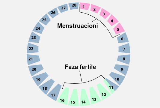 Si duhet të veprojë nëse pas pastrimit të plotë nga cikli, rrjedh një sasi e vogël gjaku?