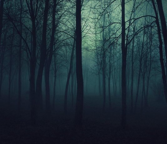 Kam njё motёr tё cilёn e ka prekur shejtani. Çfarё duaje tё bёj unё qё motra tё shёrohet?