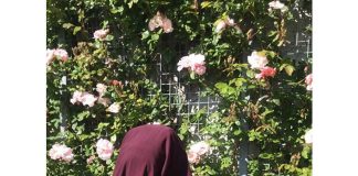 A e nënçmon hixhabi femrën?