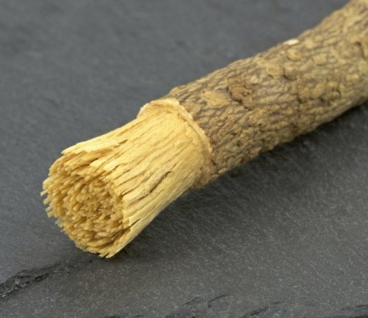 A lejohet të përdoret misvaku gjatë hutbes?