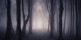 Ç’do të thotë nëse shihen në ëndërr shejtanët?