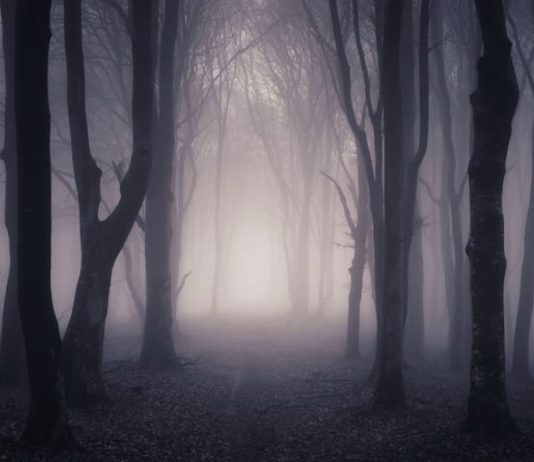 Ç’do të thotë nëse shihen në ëndërr shejtanët?