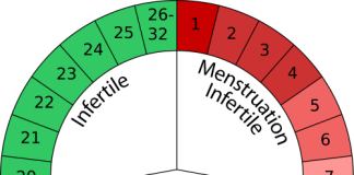Cili është kufiri me i lartë dhe më i ulët i lehonisë dhe i ciklit menstrual?