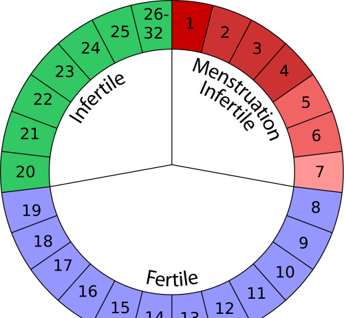 Cili është kufiri me i lartë dhe më i ulët i lehonisë dhe i ciklit menstrual?