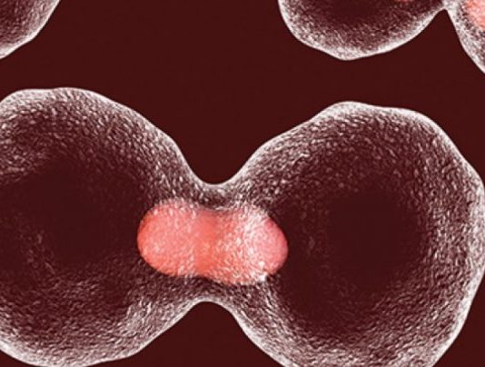 Klonimi njerëzor dhe përfitimi nga inxhinieria gjenetike