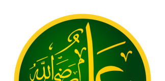 Cikli i haditheve të dobëta dhe të trilluara (3)