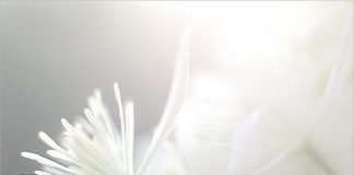 Çfarë gjykimi ka sekrecioni kaf apo i verdhë para ciklit menstrual dhe pas tij?