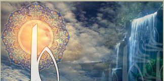 Cikli i haditheve të dobëta dhe të trilluara (4)