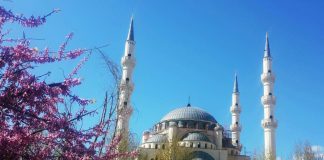 Çështja e Xhamisë së Namazgjasë në Tiranë