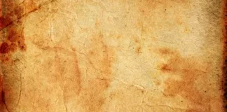 Cilat janë dispozitat e testamentit në Islam?
