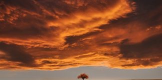 Si t’i bindim ata që mohojnë jetën e përtejme?