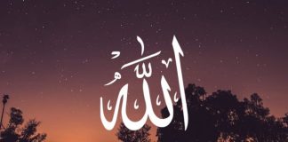 Vendimi mbi atë që s’është i aftë të shohë urtësi mbrapa vendimeve të Allahut dhe e mendon veten më të dijshëm e më të urtë se Allahu