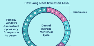 Paraqitja e menstruacioneve pas një kohe të shkurtë