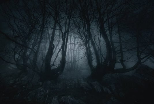 A ka Iblisi pasardhës?