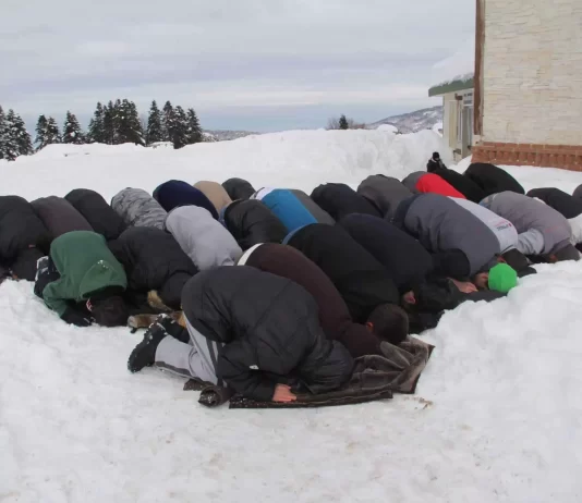 A lejohet mbartja e dorëzave nga leshi gjatë dimrit kur ndiejmë të ftohët ekstrem në duart tona?