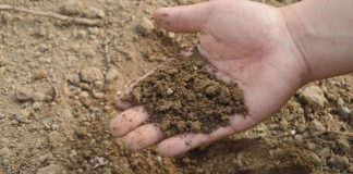 A duhet që të përsëritet tejemumi për çdo namaz, apo mjafton vetëm një herë për veprimin e farzeve?