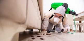 A bën të vriten me djegie insektet e dëmshme?