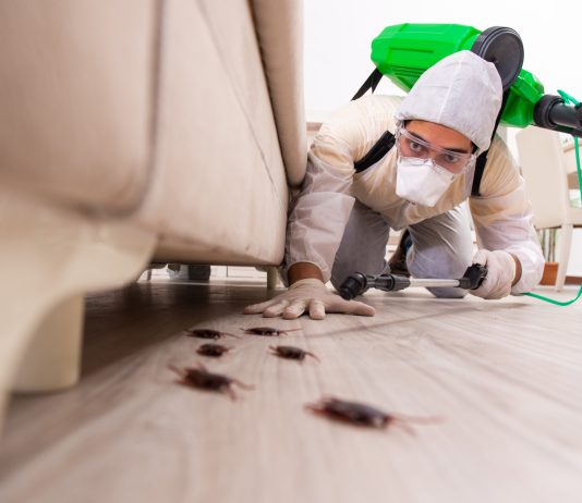 A bën të vriten me djegie insektet e dëmshme?