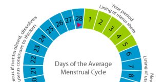 Si mund ta di gruaja se menstruacionet e saja kanë përfunduar?