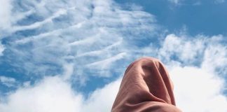 Cili është avreti i femrës muslimane në mesin e femrave muslimane?