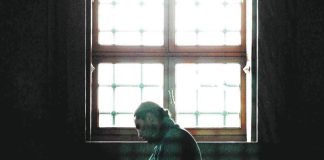 A lejohet ndryshimi i nijetit gjatë namazit, nga namazi vullnetar në namaz farz?