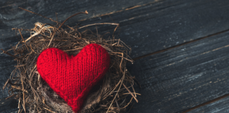 Cila është arsyeja që i bën muslimanët të ndjejnë dashuri ndaj disa nga muslimanët dhe jo ndaj të tjerëve?