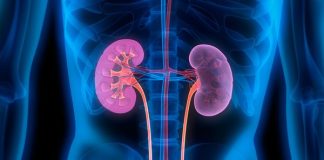 A është haram blerja e veshkës prej një personi që ka nevojë për para dhe unë kam nevojë për veshkë?