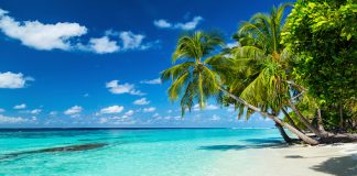 Zgjedhja e bashkëshortit në Xhenet