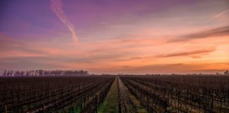 A mund t’ua ndaj pasurinë fëmijëve ashtu si dua unë?