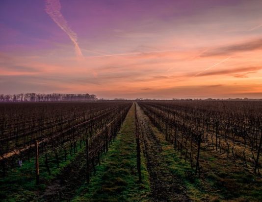 A mund t’ua ndaj pasurinë fëmijëve ashtu si dua unë?