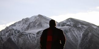 Zëvendës i kujt është njeriu në tokë?