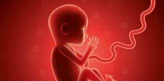 A duhet të japim sadakatul fitrin për foshnjën që nuk ka lindur ende?