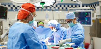 A lejohet transplanti i organeve nga kafsha te njeriu?