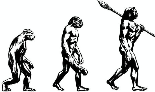 Si ta rrëzojmë teorinë e evolucionit?