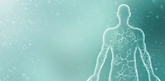 Për çfarë arsye u krijua njeriu?