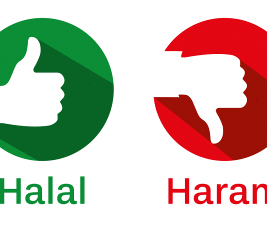 A ka dallim gjynahu prej haramit?