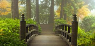 Kush do të jenë ata që e meritojnë shefatin?