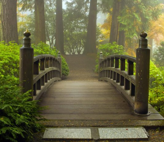 Kush do të jenë ata që e meritojnë shefatin?